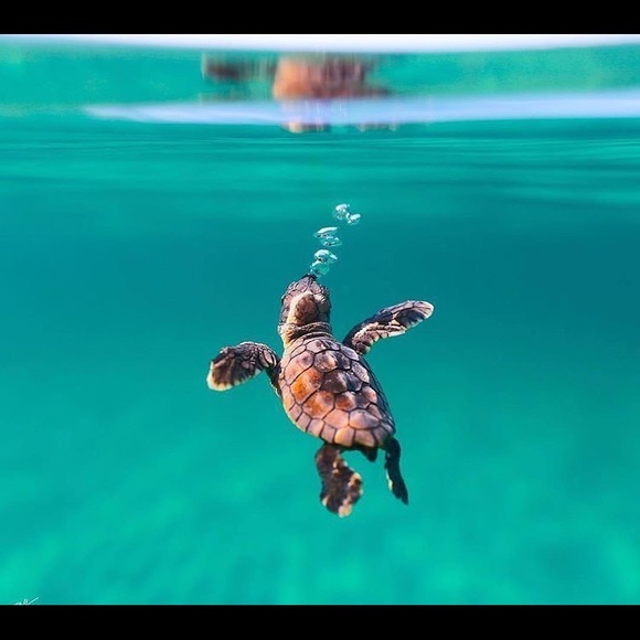 Meet your Posher, Jonathan - Picture 1 of 1